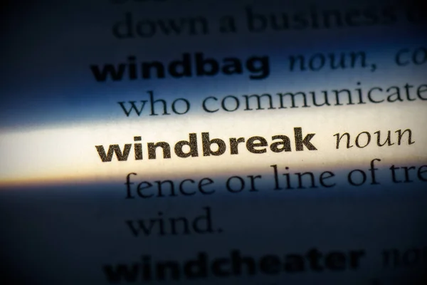 Windbreak Word Destacado Dicionário Close View — Fotografia de Stock