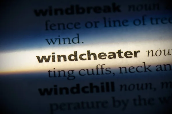 Windwijzer Woord Gemarkeerd Woordenboek Close Uitzicht — Stockfoto