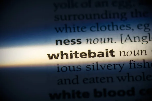 Palavra Whitebait Destacado Dicionário Vista Perto — Fotografia de Stock