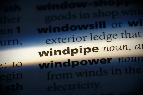 Windpipe Word Highlighted Dictionary Close View — Stock Photo, Image