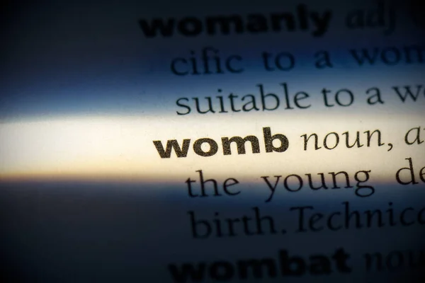 Sözlükte Vurgulanan Wmob Kelimesi Görünümü Kapat — Stok fotoğraf