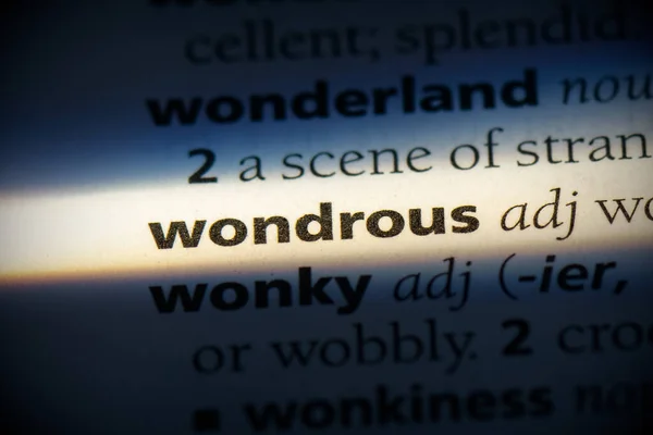 Wondrous Word Destaque Dicionário Close View — Fotografia de Stock