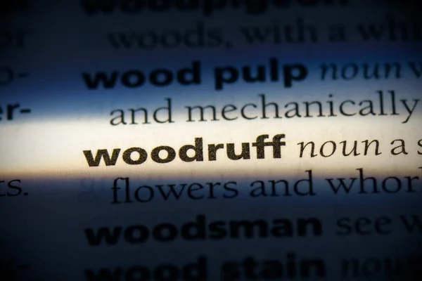 Woodruff Sözlüğü Sözlükte Vurgulanmış Görünümü Kapat — Stok fotoğraf