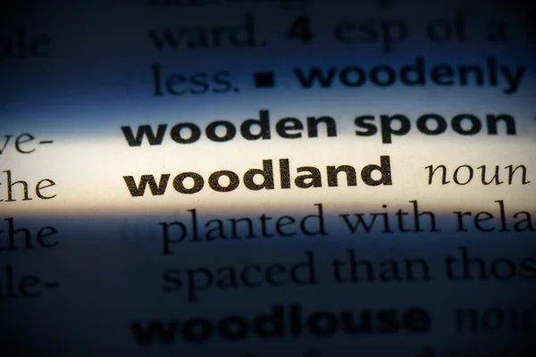 Ormanlık Kelime Sözlükte Vurgulanmış Görünümü Kapat — Stok fotoğraf