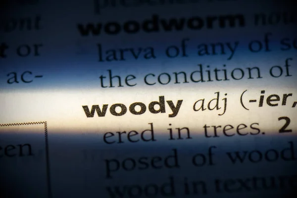 Woody Wort Hervorgehoben Wörterbuch Nahaufnahme — Stockfoto