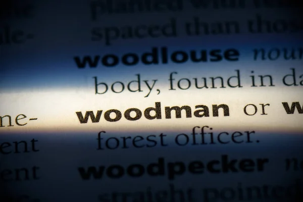 Woodman Word Highlighted Dictionary Close View — Stock Photo, Image