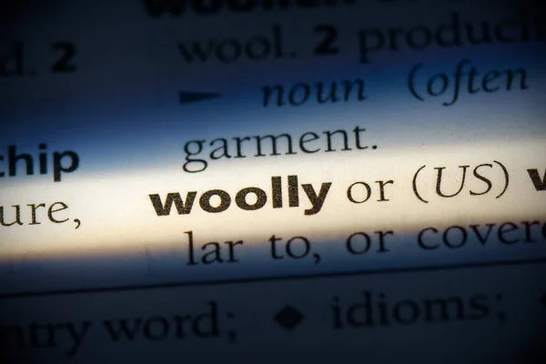 Woolly Word Destacado Dicionário Close View — Fotografia de Stock