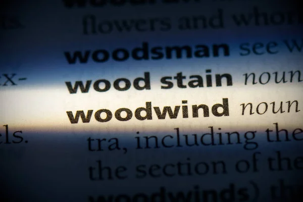 Woodwind Word Destacado Dicionário Close View — Fotografia de Stock