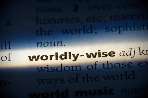 Palavra Wordly Wise Destacado Dicionário Vista Perto — Fotografia de Stock