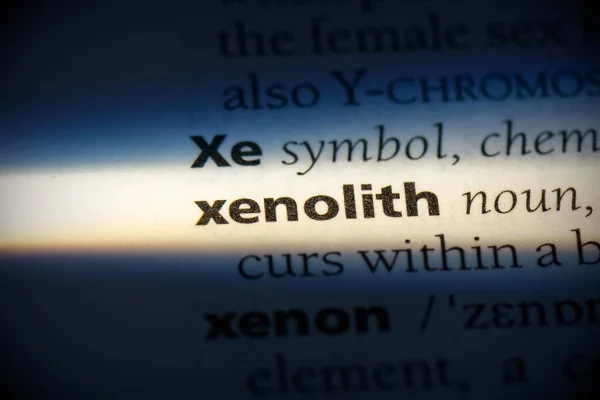 Sözlükte Vurgulanmış Xenolith Kelime Görünümü Kapat — Stok fotoğraf