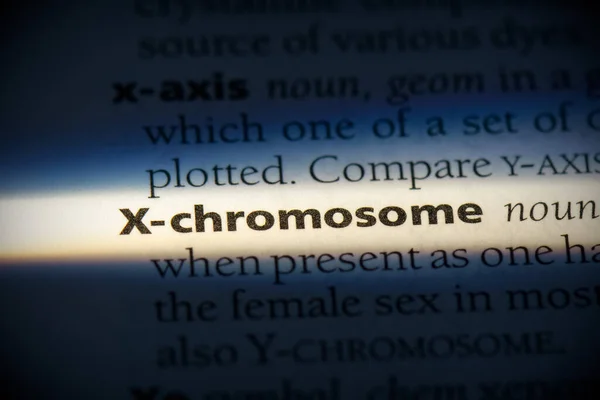 Chromosome Word Destaque Dicionário Close View — Fotografia de Stock