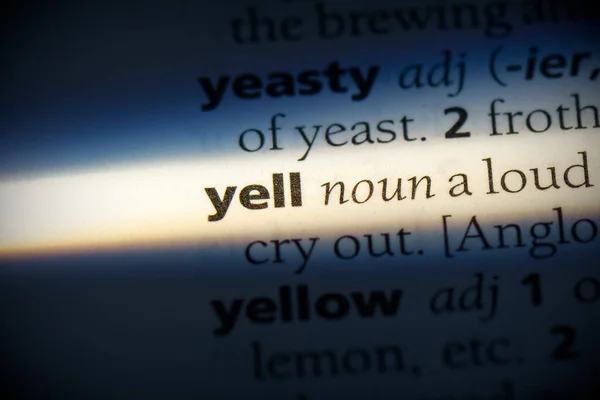 Kelime Bağır Sözlükle Altını Çiz Görünümü Kapat — Stok fotoğraf