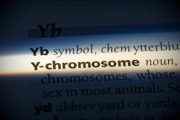 Kromosom Ord Markerade Ordboken Närbild — Stockfoto