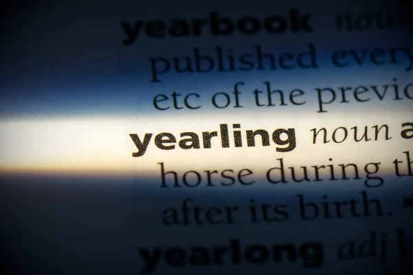 Yearling Word Destaque Dicionário Close View — Fotografia de Stock