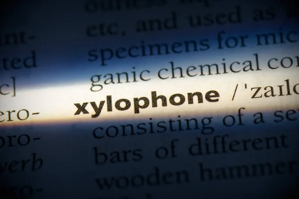 Xylophone单词 在字典中突出显示 闭合视图 — 图库照片