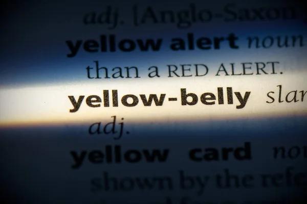 Sözlükte Vurgulanmış Sarı Göbek Kelimesi Görünümü Kapat — Stok fotoğraf