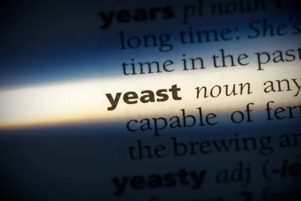 Yeast Word Evidenziata Nel Dizionario Vista Vicino — Foto Stock