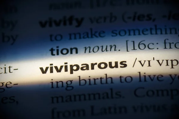 Viviparous Palavra Destacada Dicionário Vista Perto — Fotografia de Stock