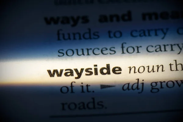 Wayside Ord Markerat Ordboken Närbild — Stockfoto
