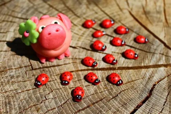 good luck wishes. Toy piggy and ladybirds