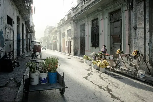 Havana Cubu Bij Zonsopgang Typische Residentiële Straat Centro — Stockfoto