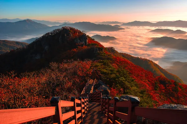 Morning mist in autumn on the peak of Cheonmasan mountain in Seoul, South Korea