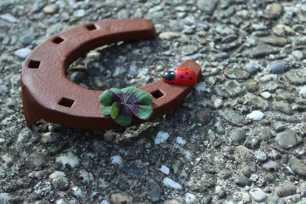 good luck wishes. Ladybird on horseshoe and clover leaves