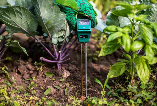 土壤湿度计测试仪 测量土壤湿度 — 图库照片
