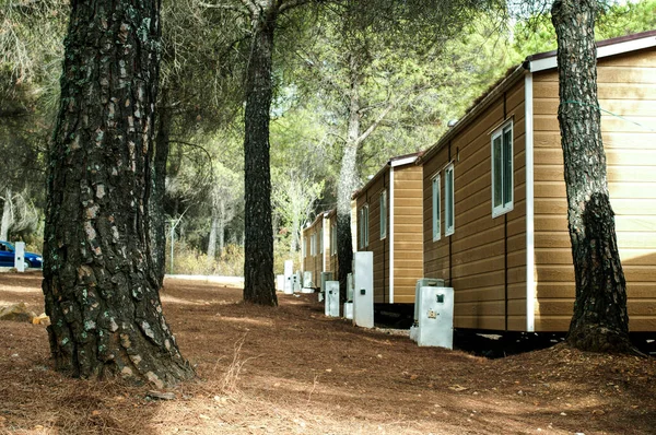 Mobile homes in sunny forest