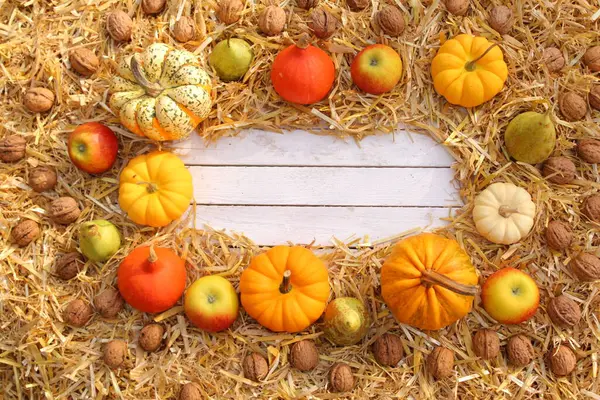 Beautiful Autumn Decoration Close — Stock Photo, Image