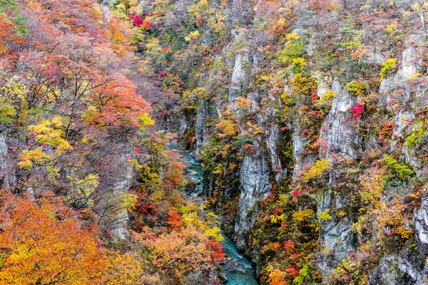 カラフルな葉で美しい秋の景色 — ストック写真