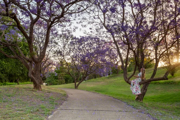 Kobieta Patrząca Kwitnące Drzewa Jakarandy — Zdjęcie stockowe