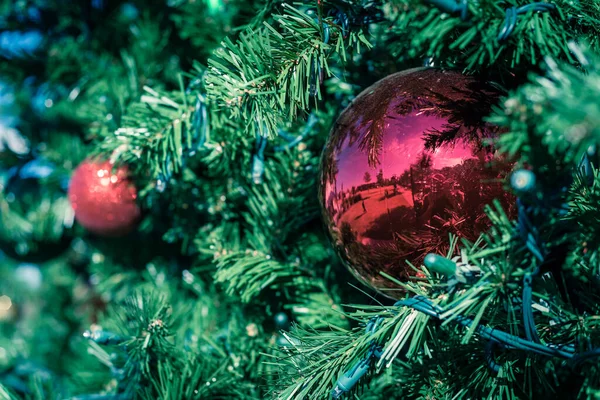 Immagine Filtrata Sfera Rossa Ornamento Appeso Rami Pino Natale Primo — Foto Stock