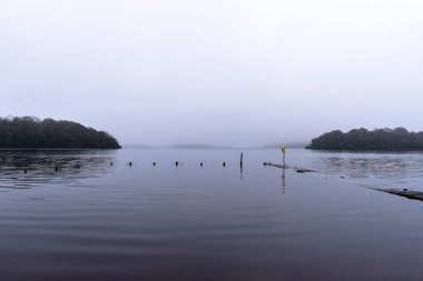 Lough Key sisli ve kış boyunca sular altında