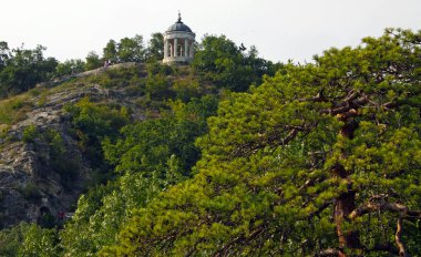 Aeolian arpı ve doğa arka planındaki ağaçlar