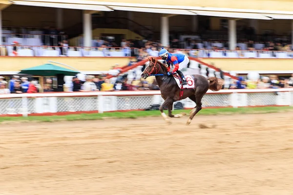 Horse Racing Abstract Background Blurred Contours — Fotografia de Stock