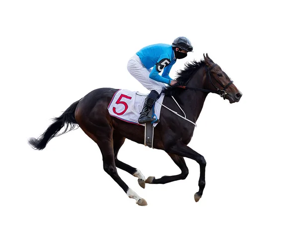 Horse Jockey Racing Isolated White Background — Stockfoto