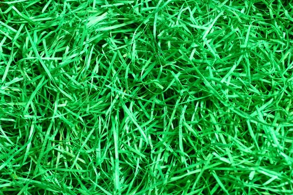 Vollbild Aufnahme Von Schönem Gras Als Hintergrund — Stockfoto
