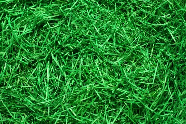Vollbild Aufnahme Von Schönem Gras Als Hintergrund — Stockfoto