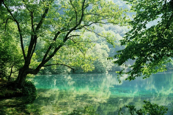 Lac Bleu Tresse — Photo