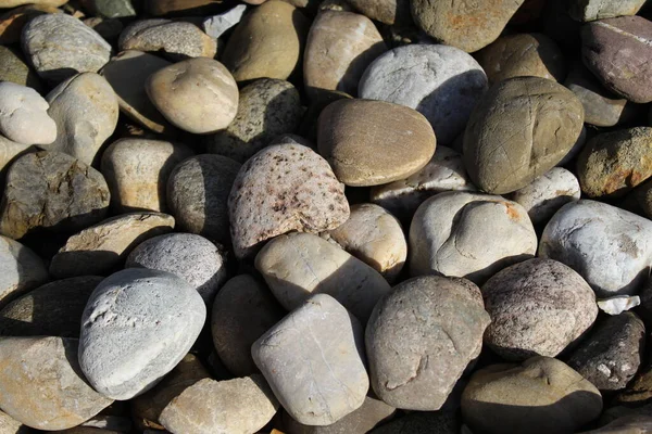 Primer Plano Piedras Playa —  Fotos de Stock