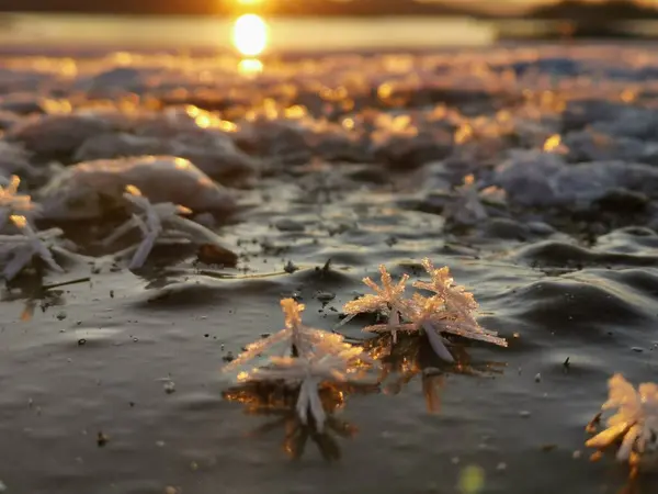 落日和地面上的水晶 — 图库照片