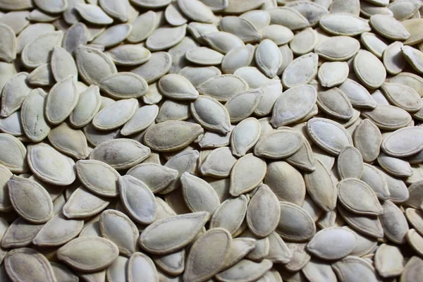 salted pumpkin seeds, close up