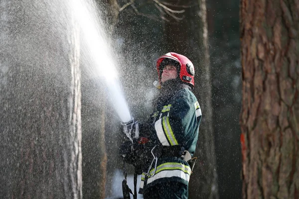 Bombeiro Extingue Incêndios Florestais Combate Fogo — Fotografia de Stock