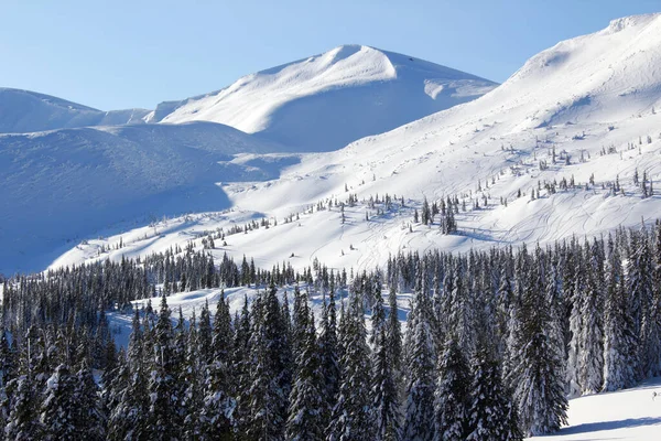 Όμορφο Χειμερινό Τοπίο Στα Βουνά Και Δέντρα — Φωτογραφία Αρχείου