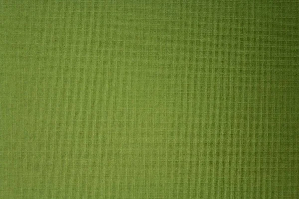 Livro Verde Texturizado Fundo — Fotografia de Stock