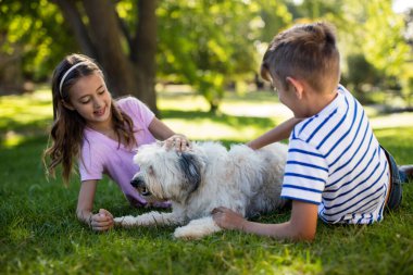 Erkek ve kız ile köpek park