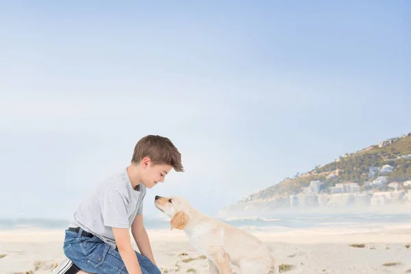 小男孩在海滩上与狗玩耍 — 图库照片