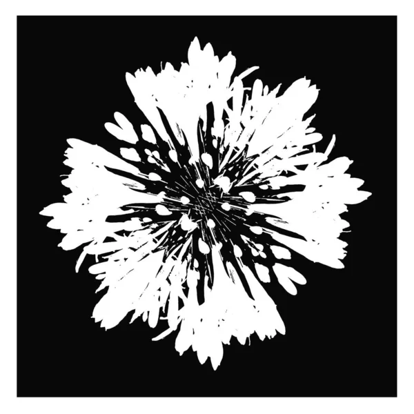 Stilizált Radiál Virág Grafikus Sziluett — Stock Fotó