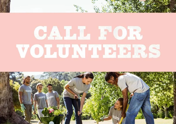 Bir Grup Gönüllü Bahçıvanlık Yapıyor — Stok fotoğraf